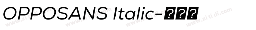 OPPOSANS Italic字体转换 OPPOSANS Italic字体转换